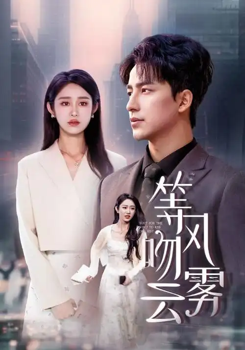 第七个证人 热播电视剧在线看